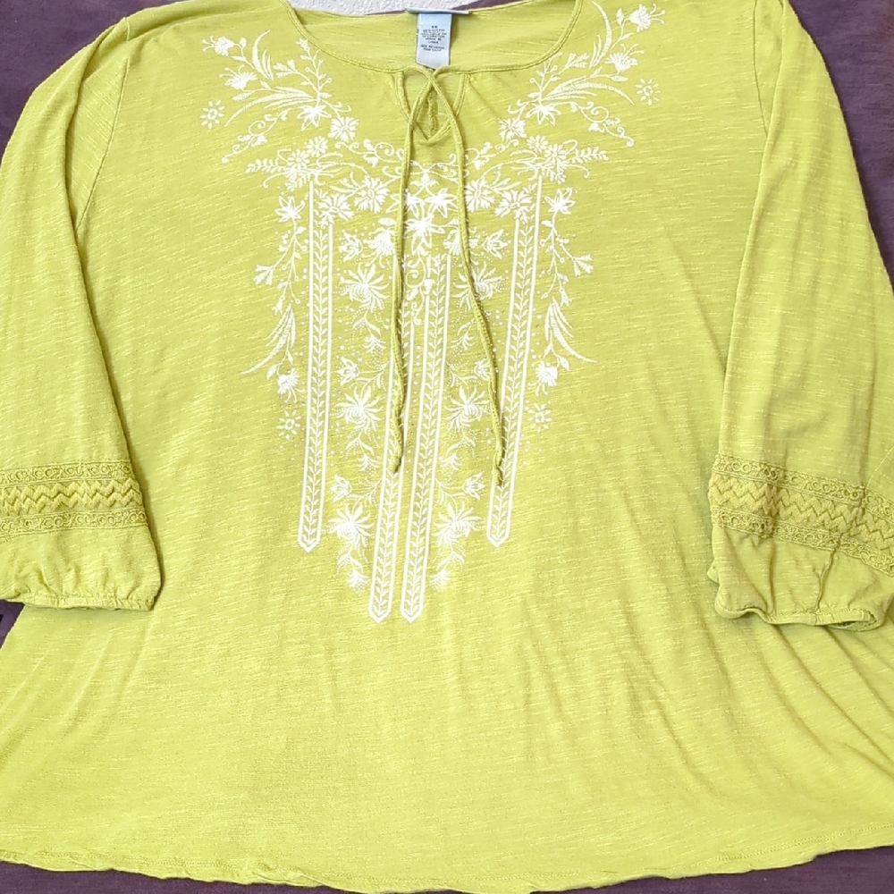 Catherines Light Green Embroidered Top With Sparkles